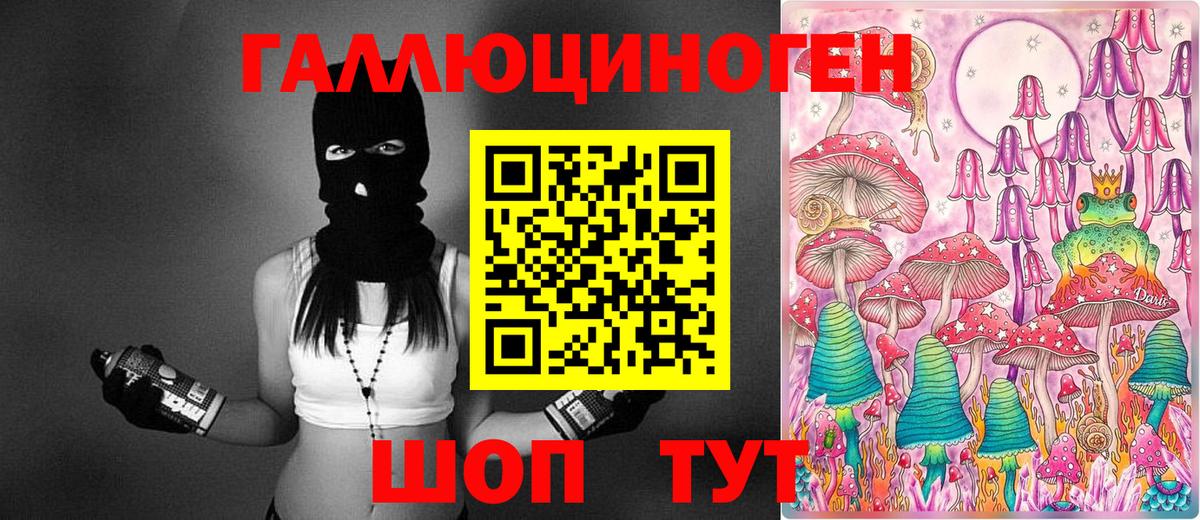 Галлюциногенные грибы MAGIC MUSHROOMS  Вход с VPN  Свободный 