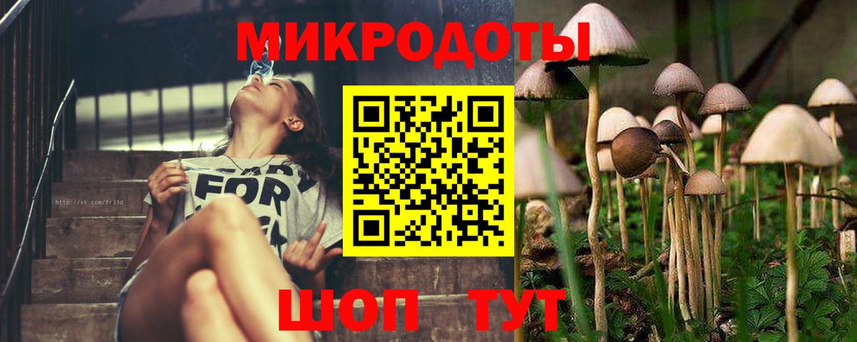 Галлюциногенные грибы Magic Shrooms Свободный